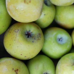 Maçã Golden bio - 500 gr