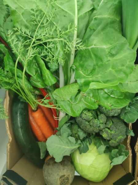 Bio box mix legumes e fruta SEM BATATA E CEBOLA=20€