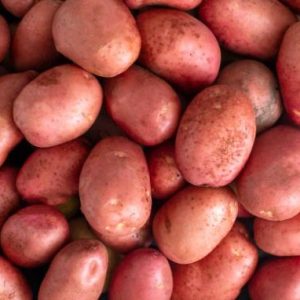 Batata vermelha bio - 500 gr