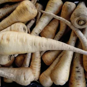 Pastinaca bio - 500 gr